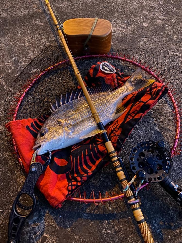 ヘチってきました