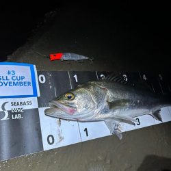 シーバスゲームin熊本