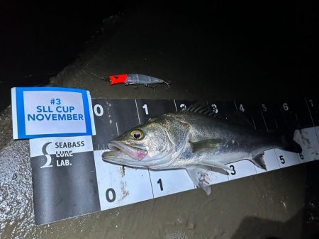 シーバスゲームin熊本