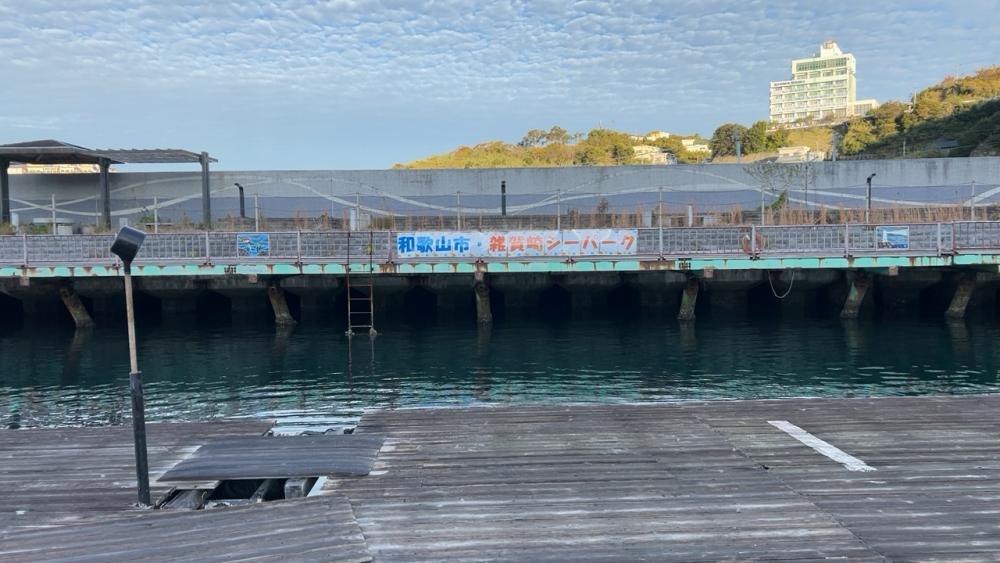 初めての釣り場