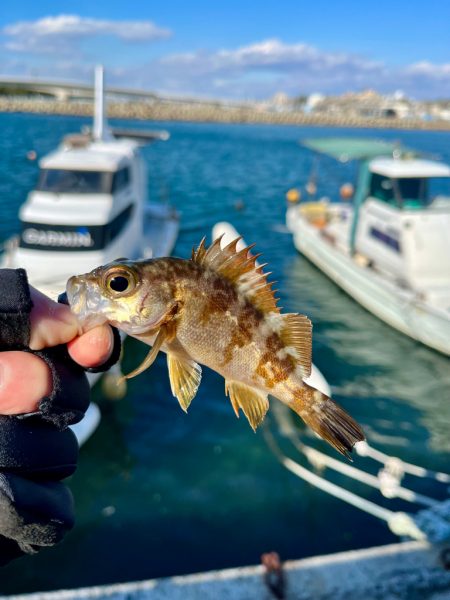 30分デイゲーム
