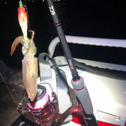 【姫路エリア】今年初のヒイカエギング