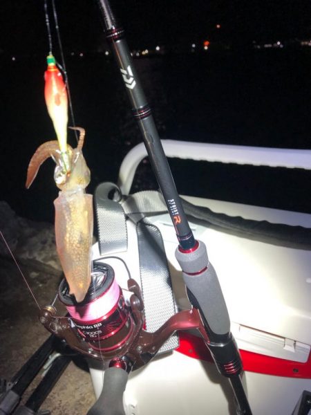 【姫路エリア】今年初のヒイカエギング