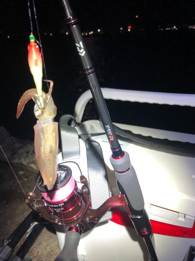 【姫路エリア】今年初のヒイカエギング