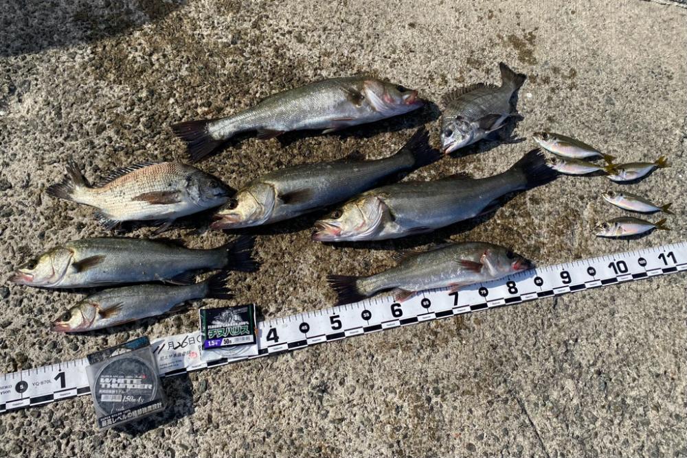 久しぶりの良い天気の釣り日和