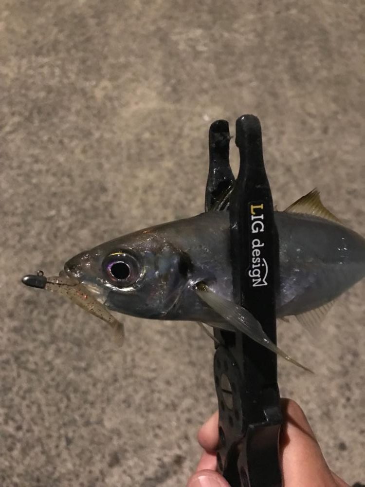 仕事終わりにPart2