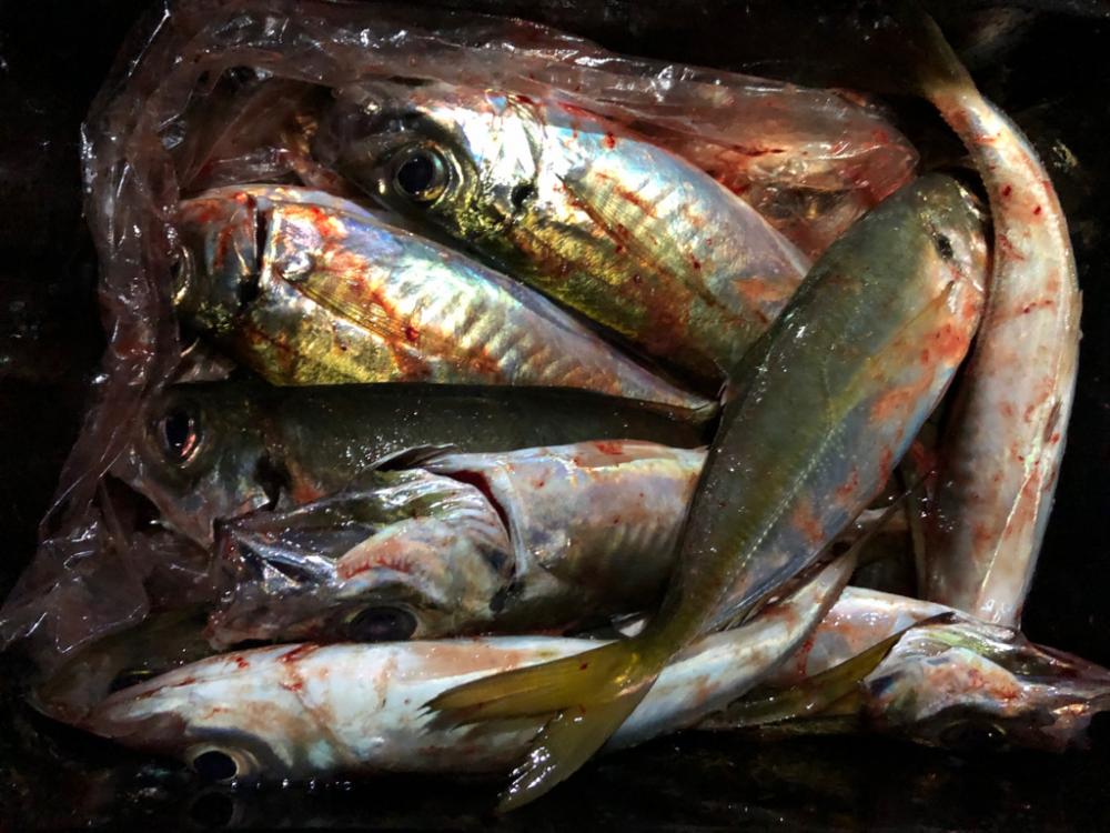 5時間耐久アジング