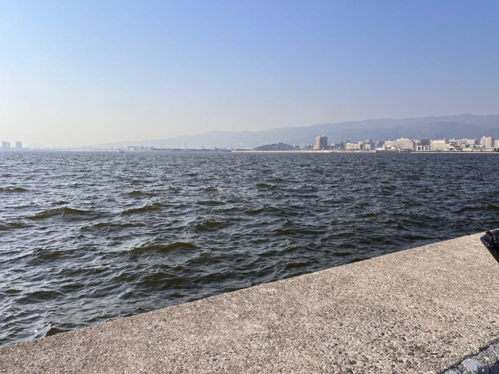 ボラが多すぎて。。