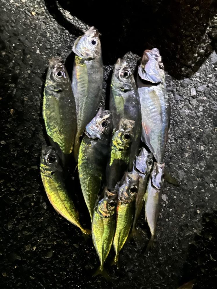 ジグ単アジング