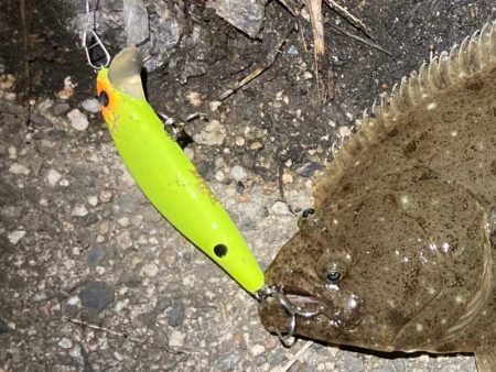 ルアーフィッシング