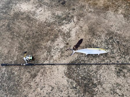 マイクロベイトパターン攻略できず