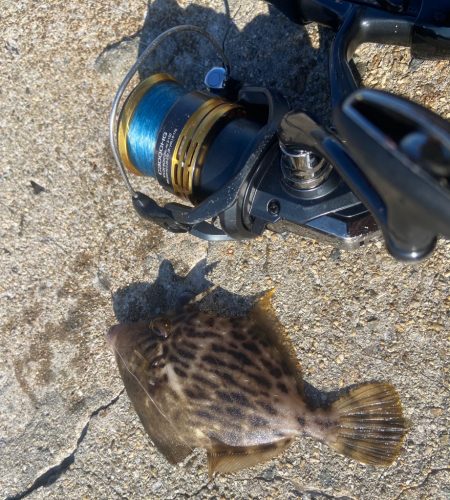 M:i:III ちょい投げシロギスタ