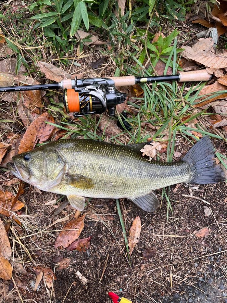 メタルバイブ炸裂