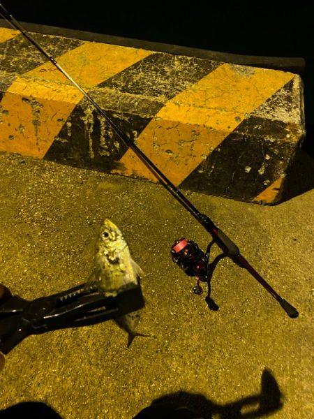 メバリング&ライトゲーム