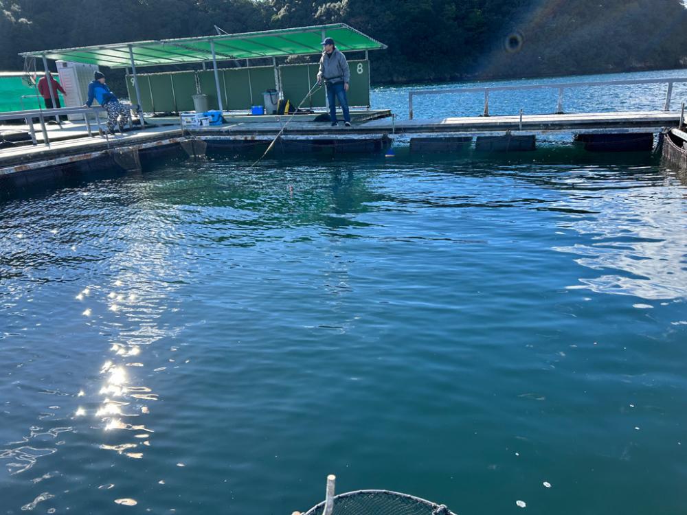 海上釣り堀　辨屋