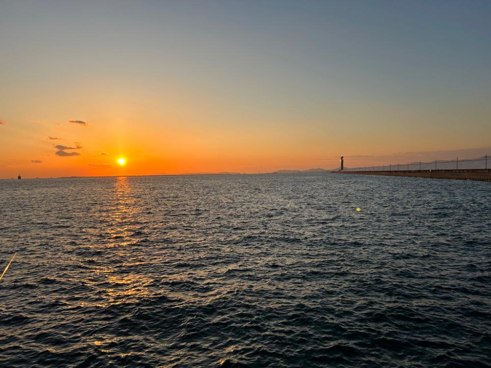 刀狩りに行ったのに・・・