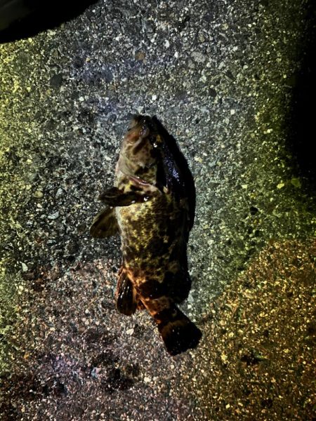 冬のライトゲーム