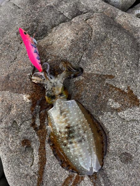 風があるので…