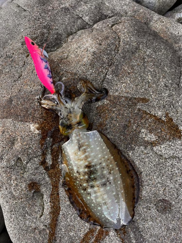 風があるので…