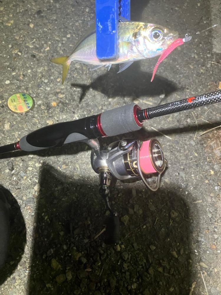 アジングに癒される