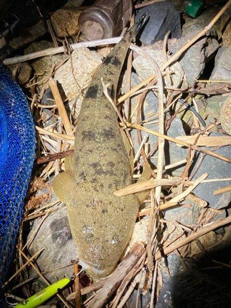 ルアフィッシング