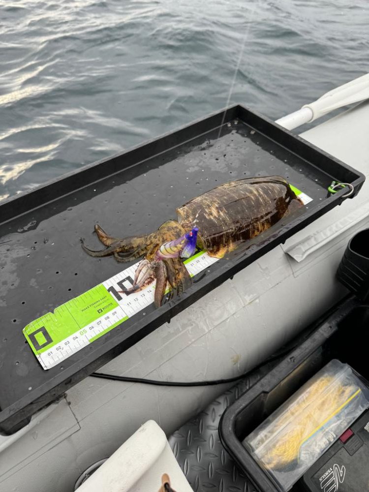 ティップラン&SLJ