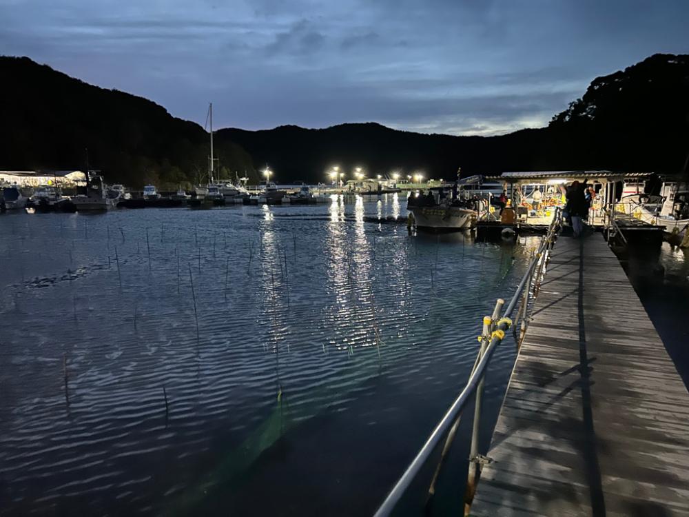 あなたに逢い鯛釣り堀