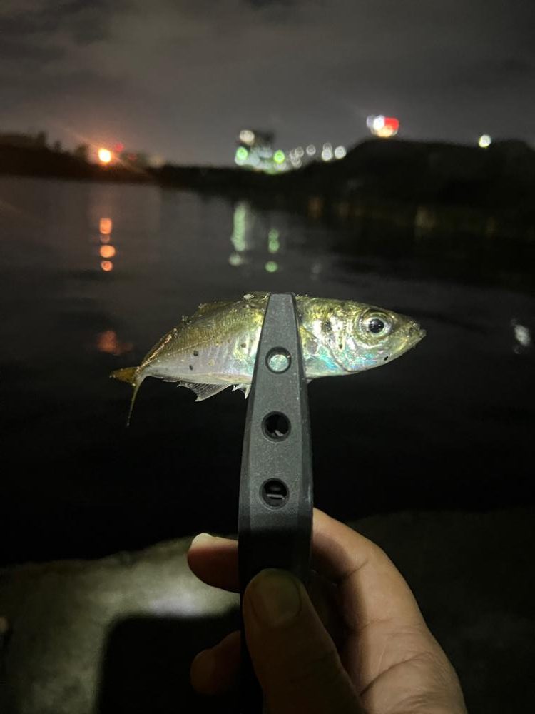 プランクトンパターン？