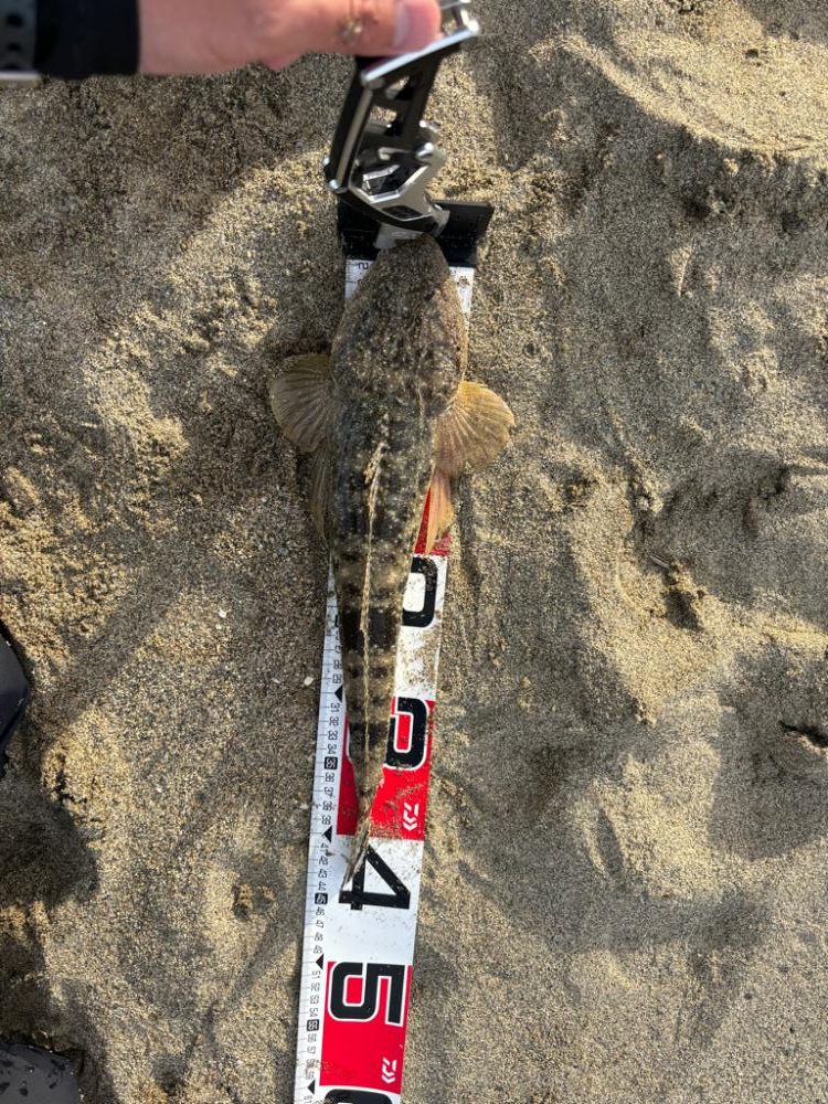 ダイワサーフショアジギング試投会&講習会