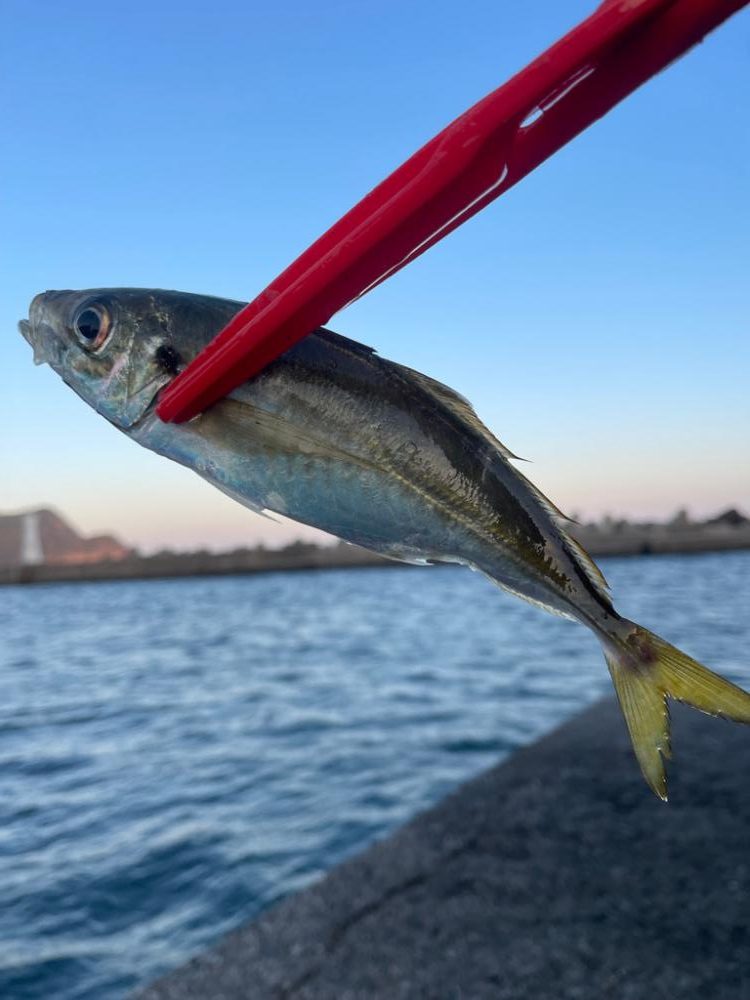 にぎわっていました！