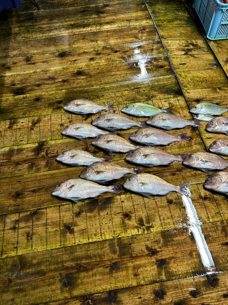 海上釣り堀あなたに逢い鯛ナイター