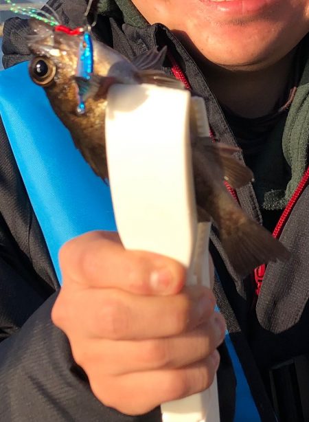 暖かい日差しでは魚も元気