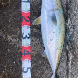 2023ライトゲーム第43戦