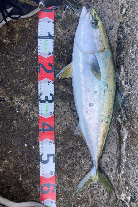 2023ライトゲーム第43戦