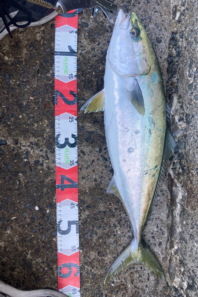 2023ライトゲーム第43戦