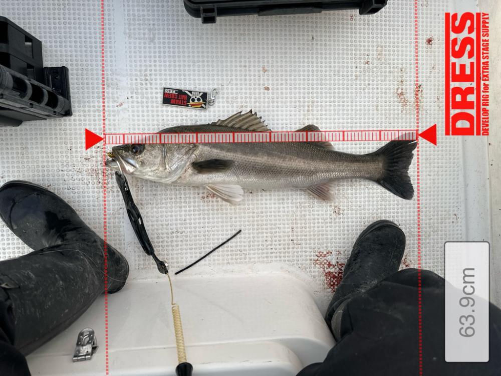 2時間だけの入れ食い！