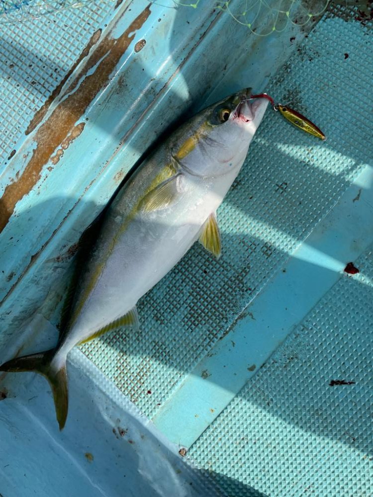 明石沖ジギング