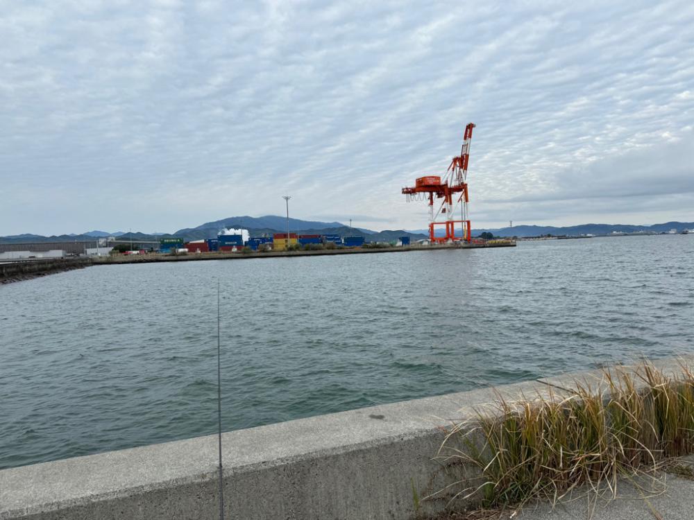 マゴチとヒラメ