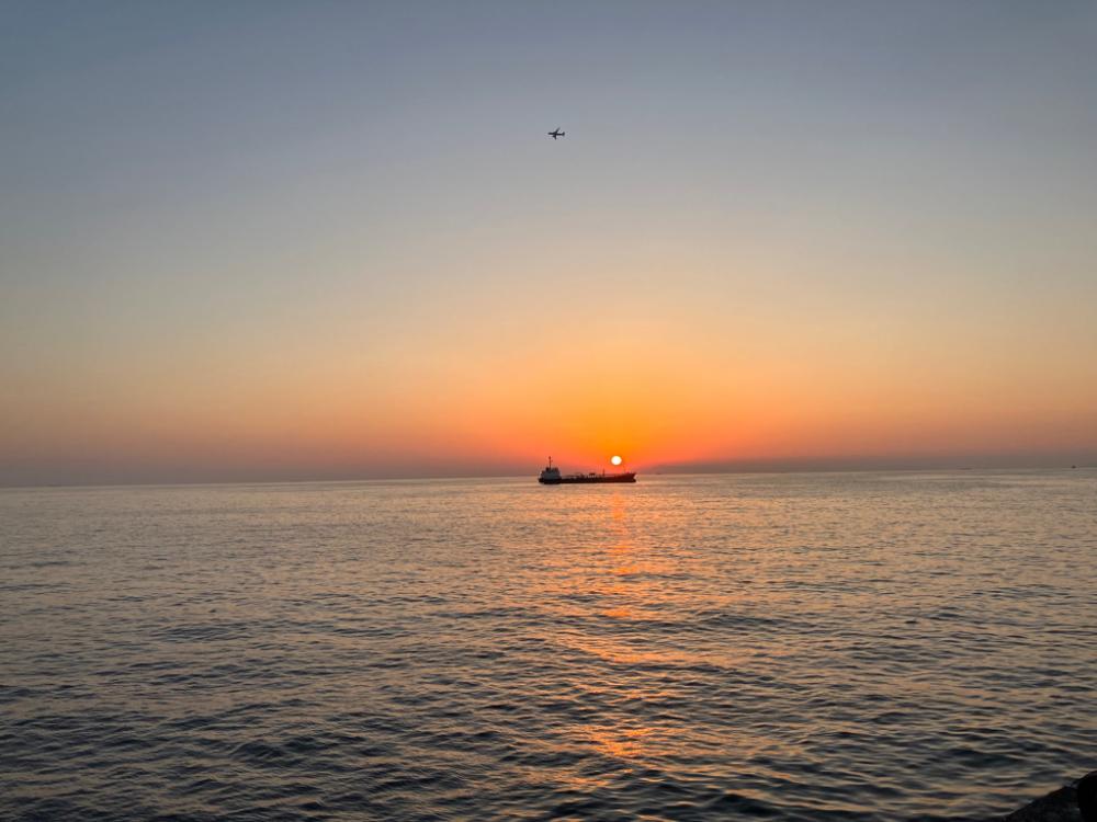 タチウオ少し、小アジたくさん