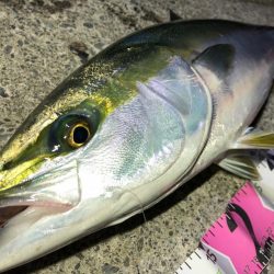 まさかの一本😆ɲ…