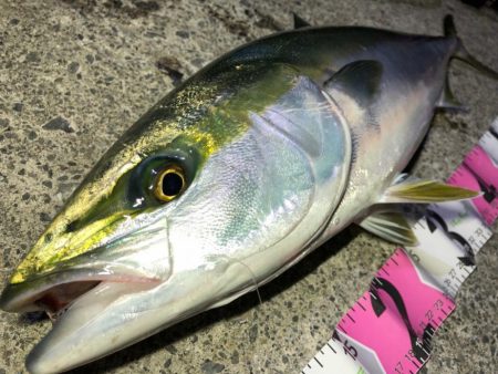 まさかの一本😆ɲ…