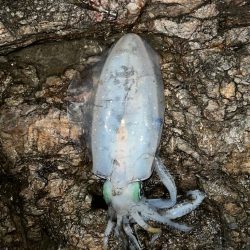 久しぶりのルーティン