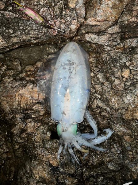 久しぶりのルーティン