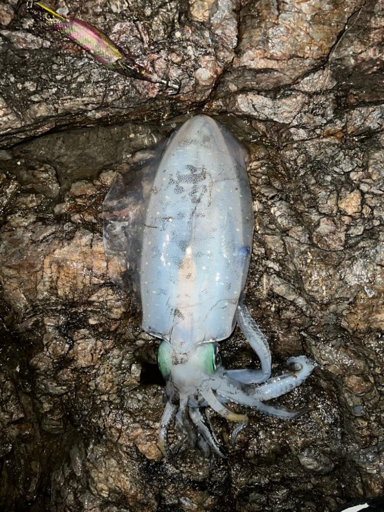 久しぶりのルーティン