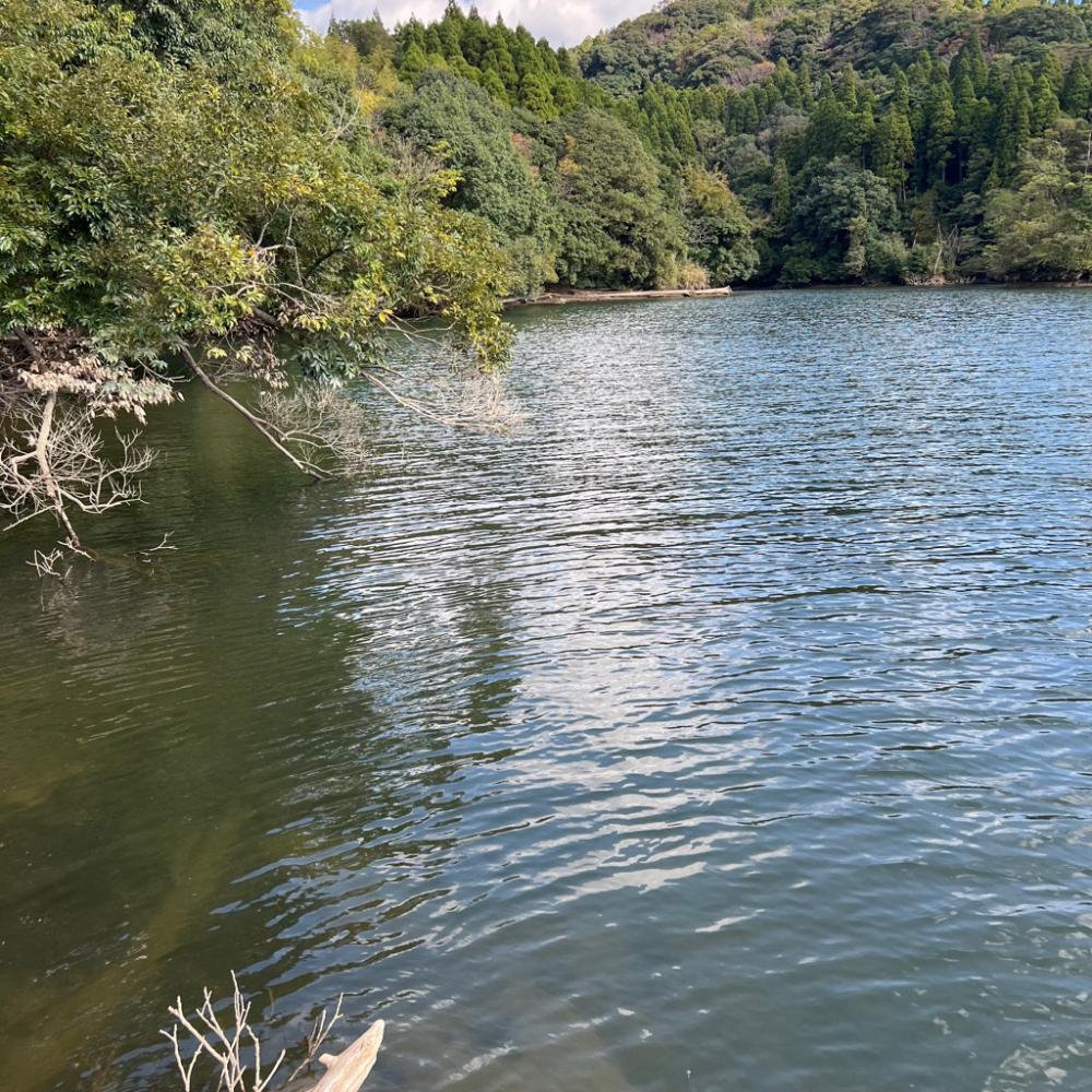 ホームレイクは渋い