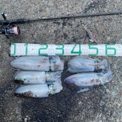 2023 佐渡ヶ島エギング 44回目【10月30日】