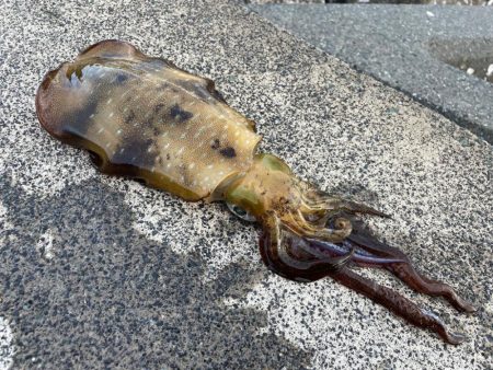 のませのつもりがまさかの