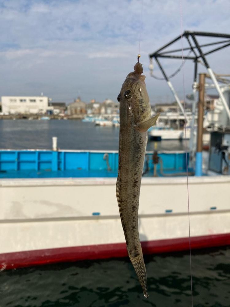 江井ヶ島釣行！