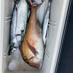 天秤仕掛けちょこっとジギング