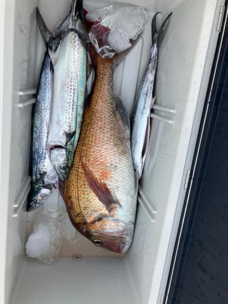 天秤仕掛けちょこっとジギング